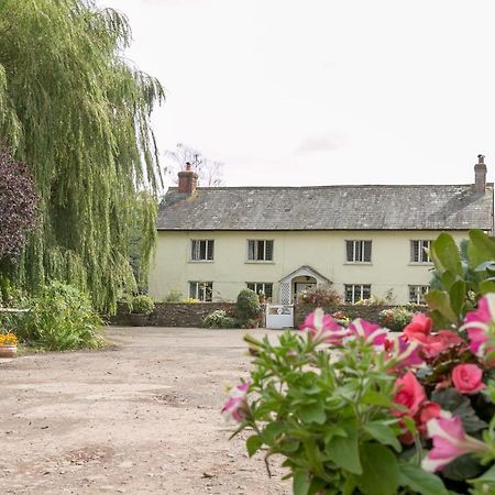 Bed and Breakfast Lower Ford Farm Cullompton Exteriér fotografie