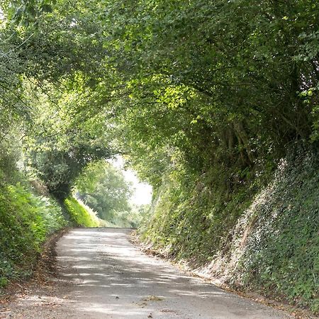 Bed and Breakfast Lower Ford Farm Cullompton Exteriér fotografie