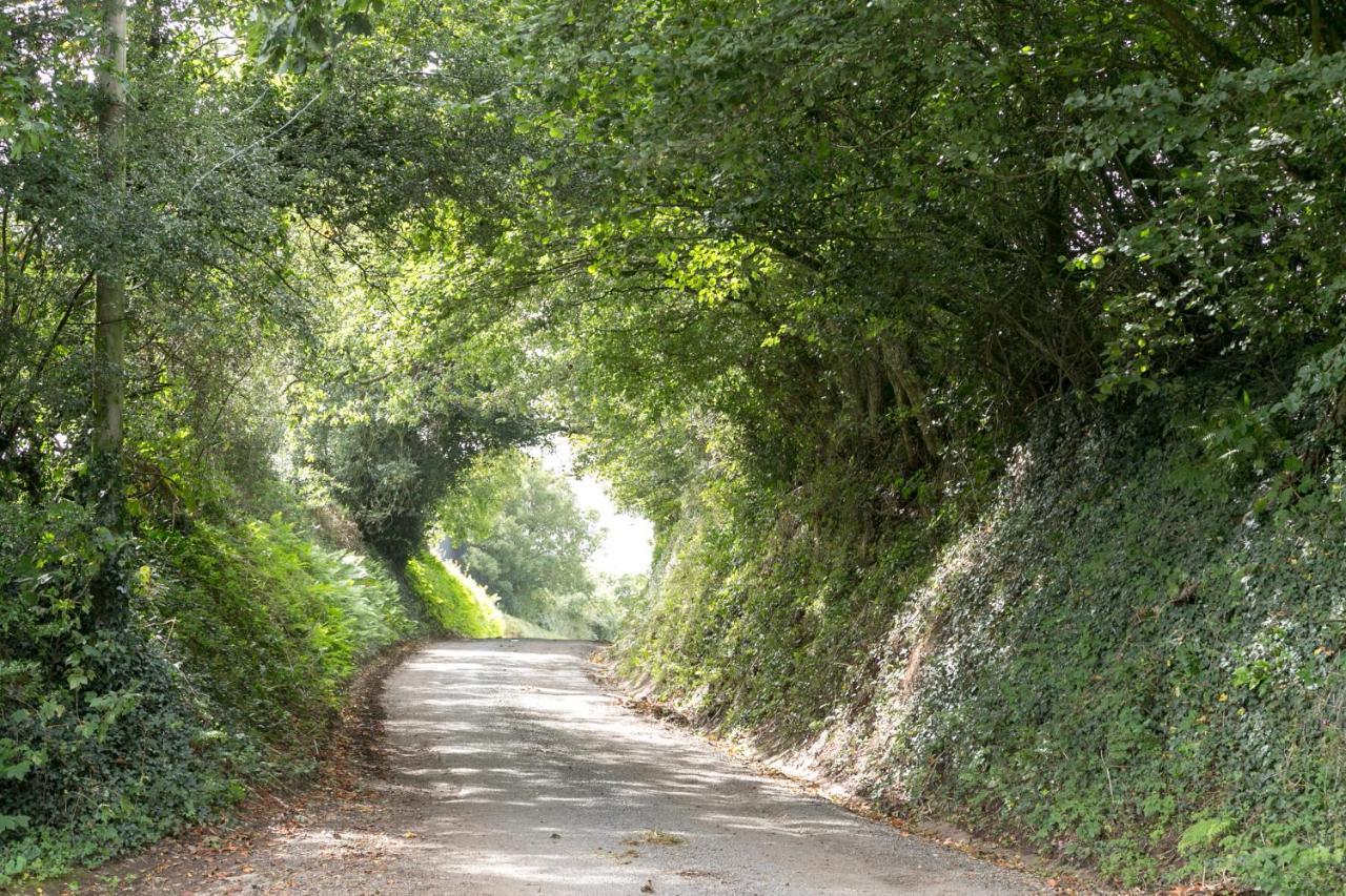 Bed and Breakfast Lower Ford Farm Cullompton Exteriér fotografie