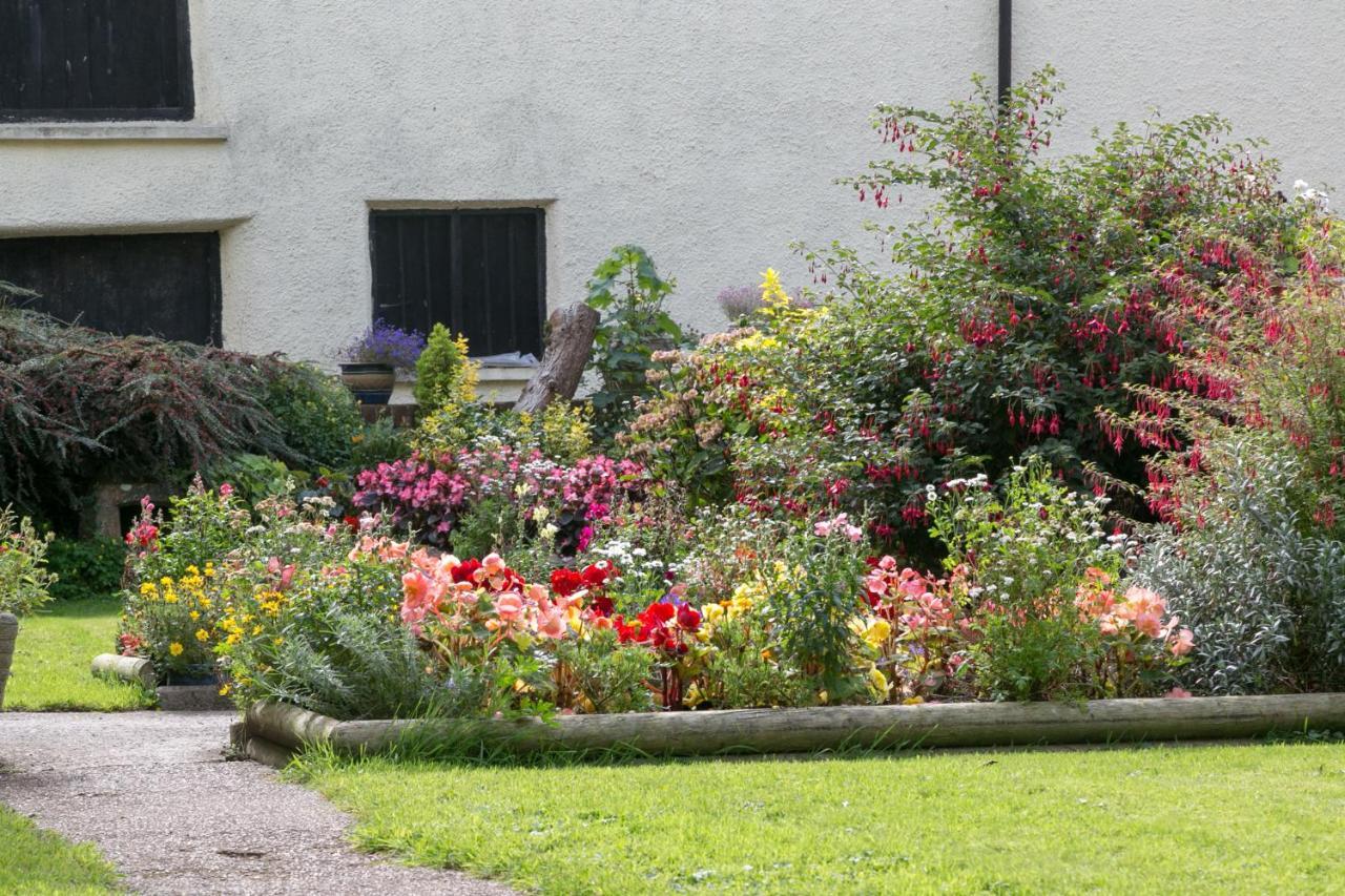 Bed and Breakfast Lower Ford Farm Cullompton Exteriér fotografie