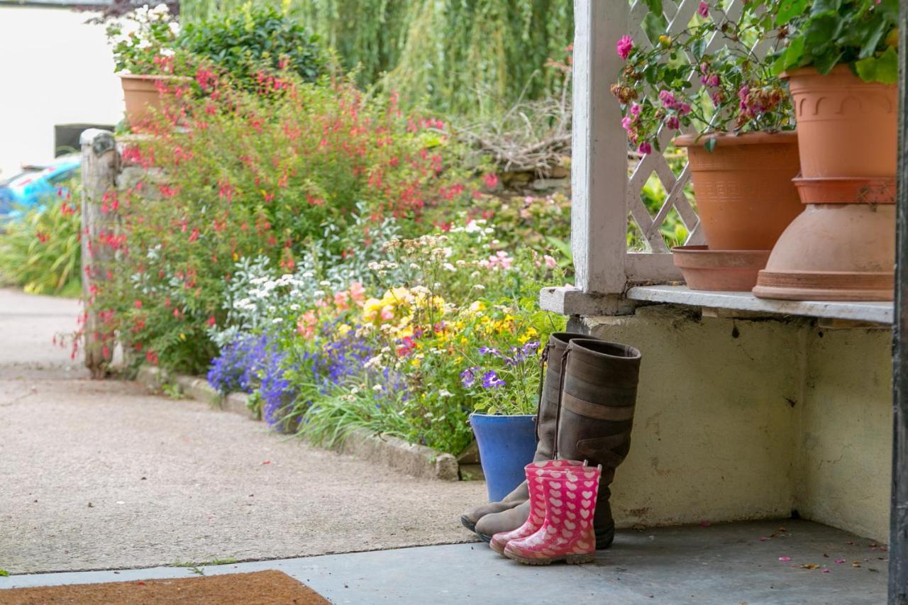 Bed and Breakfast Lower Ford Farm Cullompton Exteriér fotografie