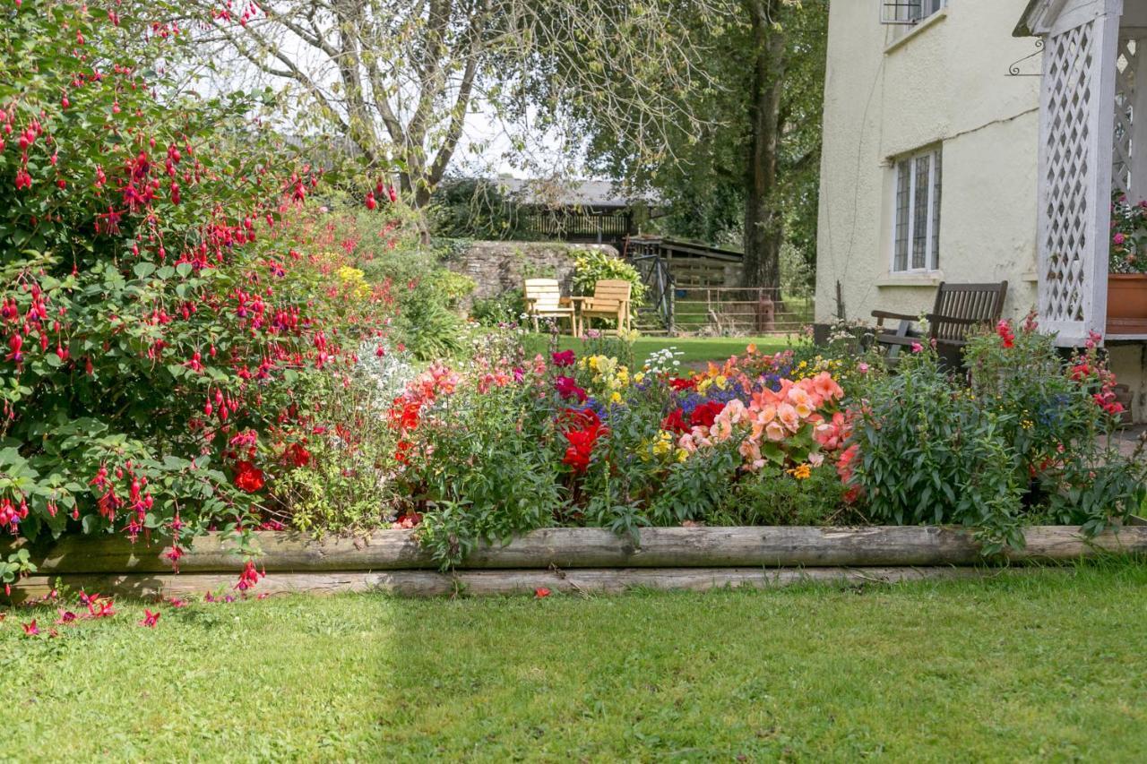 Bed and Breakfast Lower Ford Farm Cullompton Exteriér fotografie