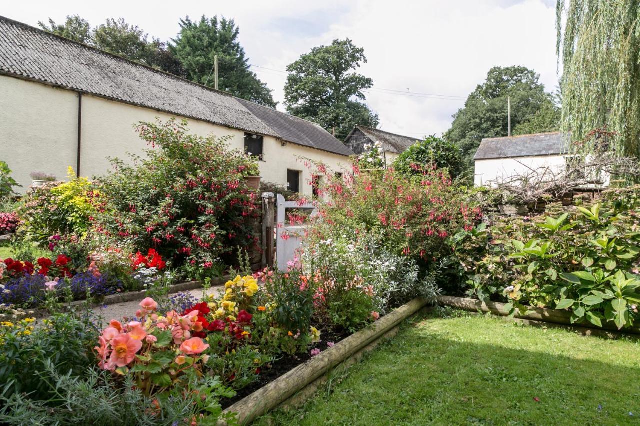 Bed and Breakfast Lower Ford Farm Cullompton Exteriér fotografie